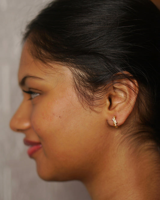 Blush Look